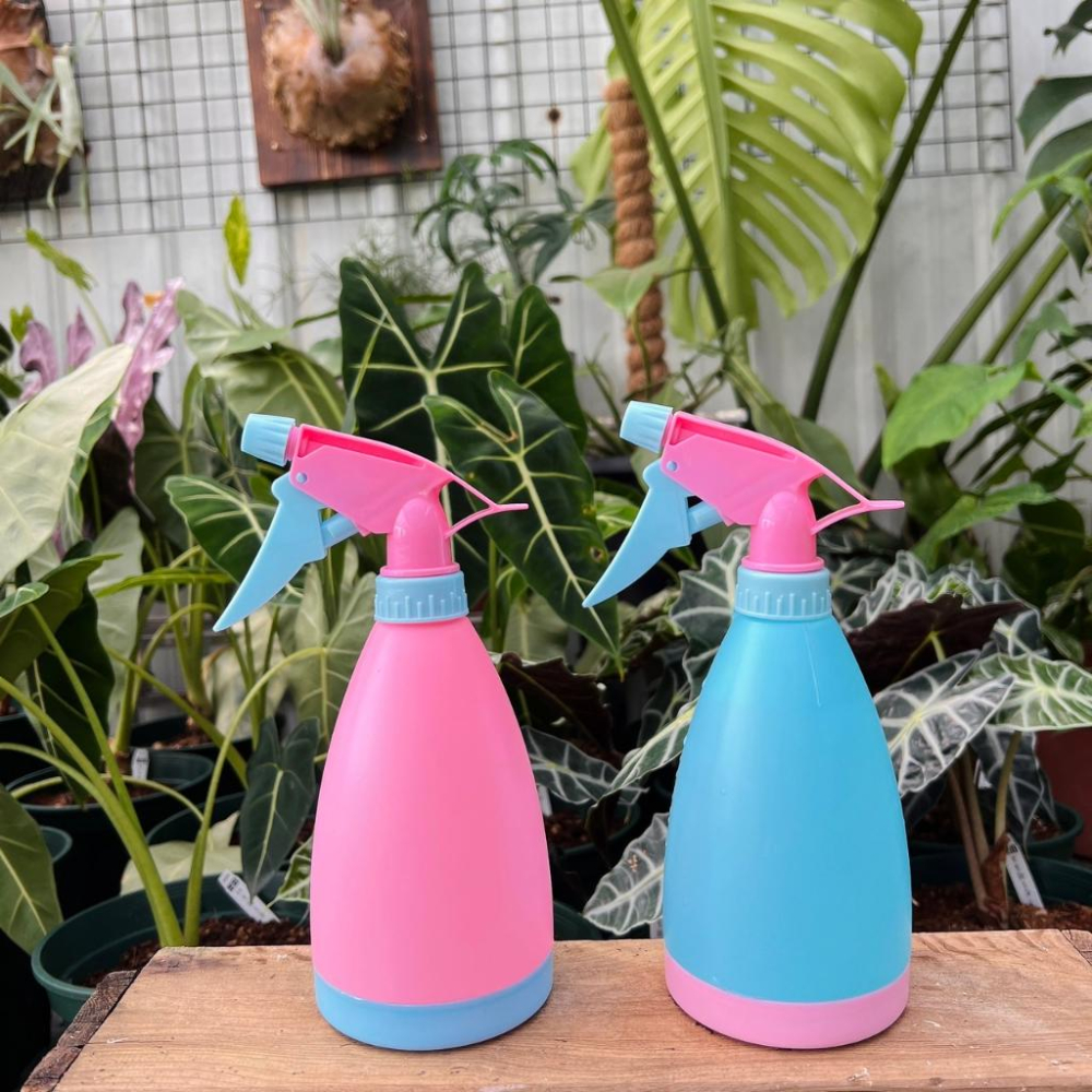 【粉藍噴霧瓶】藍/粉  澆花器/噴水瓶/園藝/家居/介質/鏟子-細節圖3