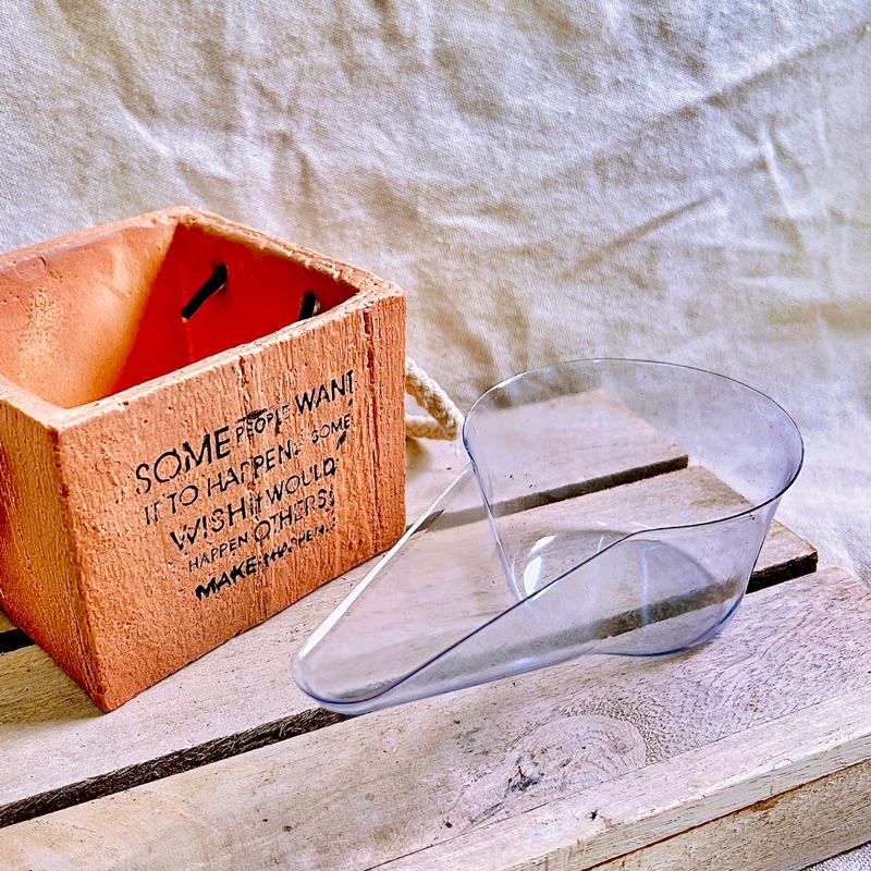 【鴨嘴杓】大/小  多肉植物/仙人掌/觀葉植物/塊根/塊莖/龍舌蘭/盆器/介質-細節圖4