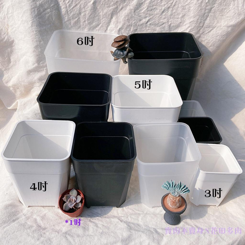 透氣盆- 多肉植物仙人掌花盆塑膠盆園藝盆子- 花田多肉- iOPEN Mall