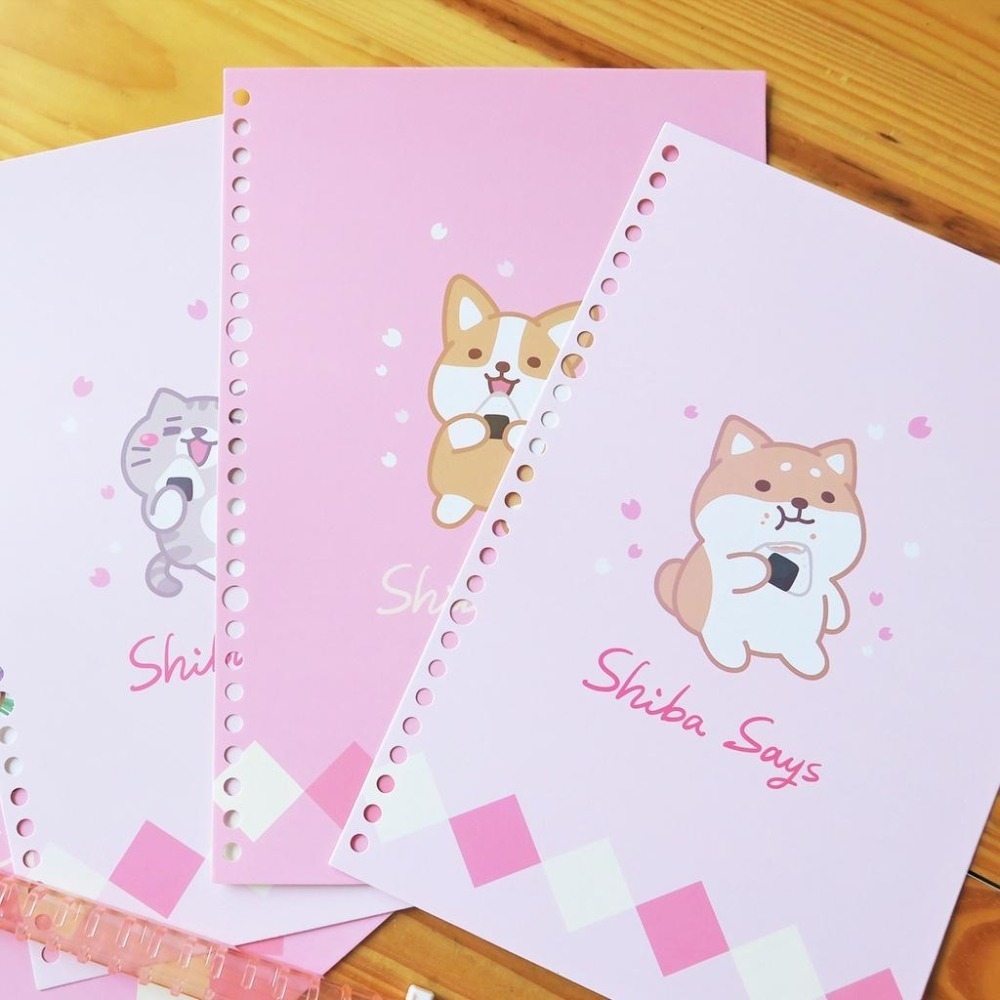 筆記本 活頁 B5 柴語錄 資料夾 19X26.5 附收納袋 隔頁紙 可愛Q版 可加內紙 護眼紙張 筆樂 DE-7511-細節圖6