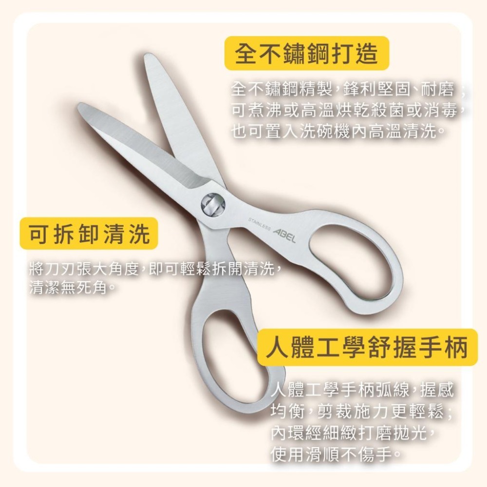 【台灣現貨】 料理剪刀 食物剪刀 全不鏽鋼可拆洗食物剪 ABEL #60070 廚房必備烹飪料理 野餐露營外宿開伙-細節圖5