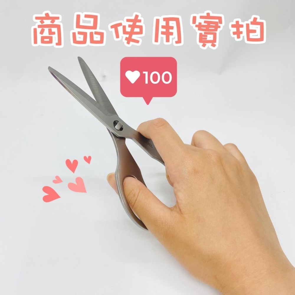 【台灣現貨】 料理剪刀 食物剪刀 全不鏽鋼可拆洗食物剪 ABEL #60070 廚房必備烹飪料理 野餐露營外宿開伙-細節圖7