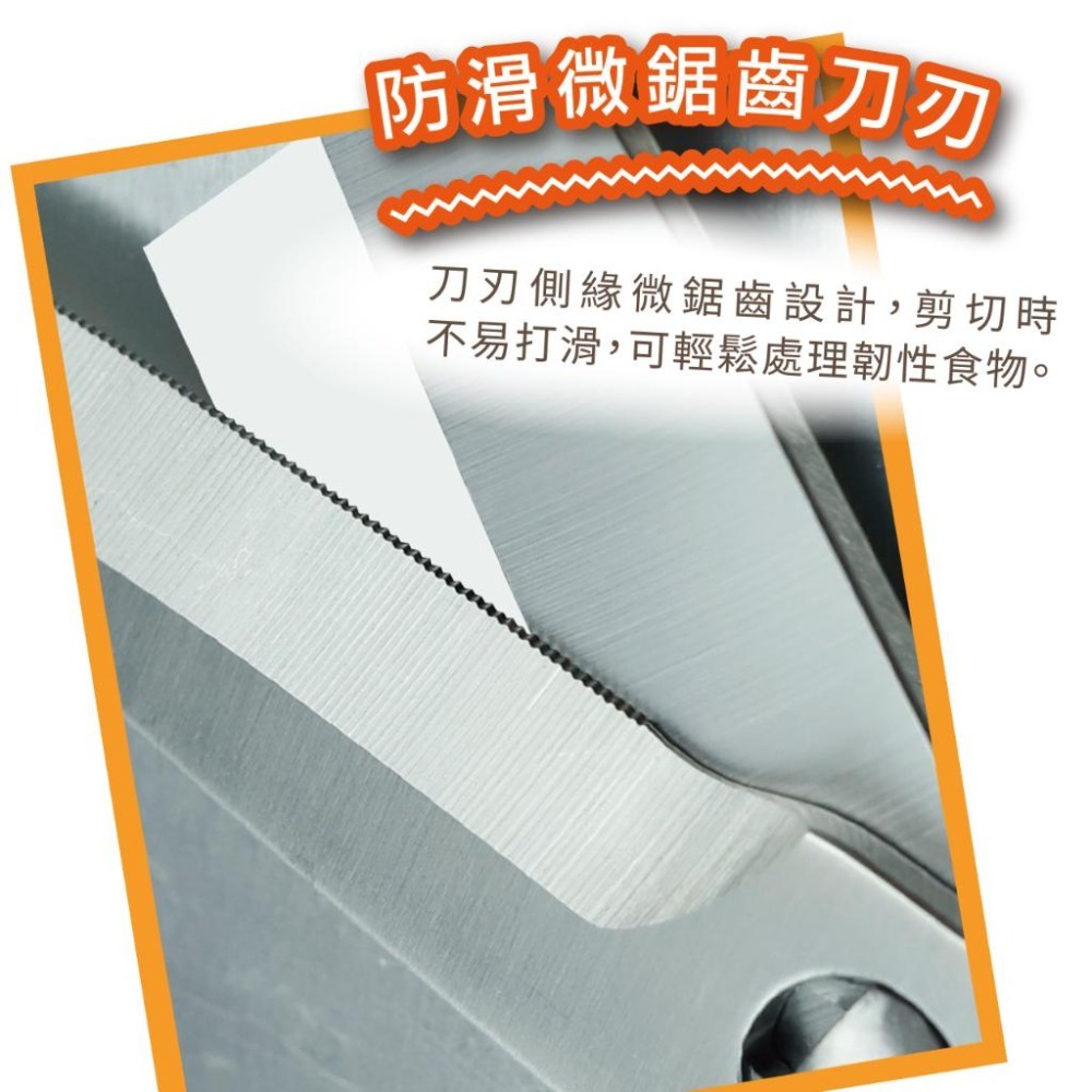 【台灣現貨】 料理剪刀 食物剪刀 全不鏽鋼可拆洗食物剪 ABEL #60070 廚房必備烹飪料理 野餐露營外宿開伙-細節圖9