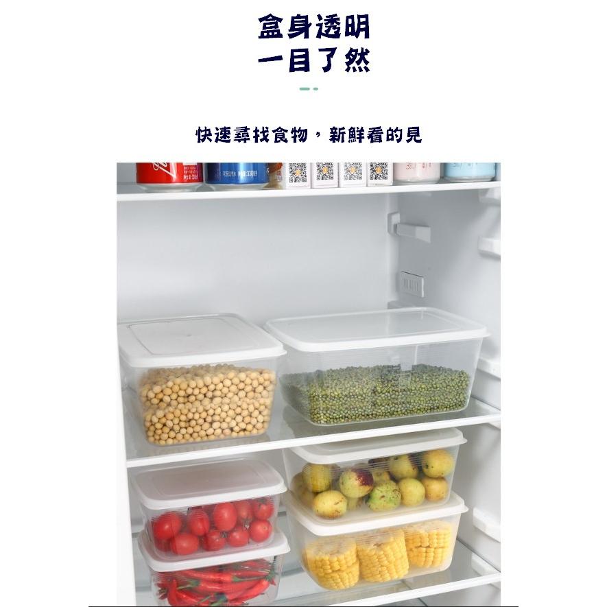 台灣現貨 透明長方形保鮮盒 長方形保鮮盒 密封保鮮盒 冰箱密封保鮮盒 收納盒 魚盒 保鮮盒 蔬果保鮮盒 冷藏盒 冰箱收納-細節圖4