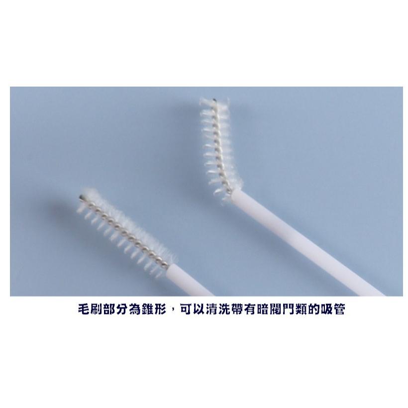 台灣現貨 吸管清潔刷 吸管清潔 奶嘴刷 吸管刷 環保吸管刷 環保吸管清潔刷 縫隙清潔刷 不銹鋼吸管刷 奶瓶刷 小刷子-細節圖2