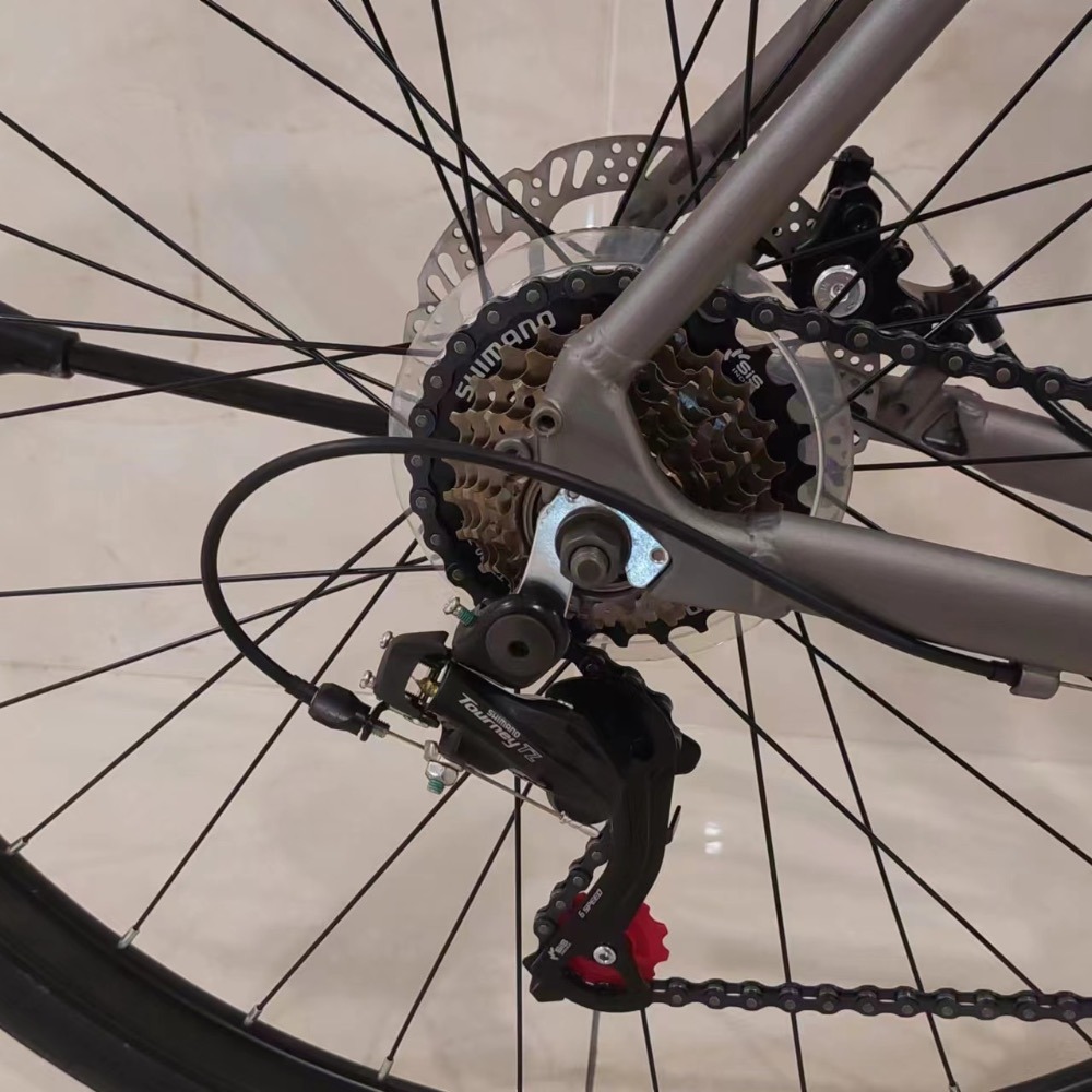 輕量化高級鋁合金700C街車！超值選擇！-細節圖11