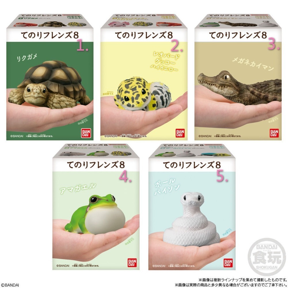 Bandai 掌上好朋友8 軟膠公仔 爬行動物&兩棲動物 【Smile】-細節圖2