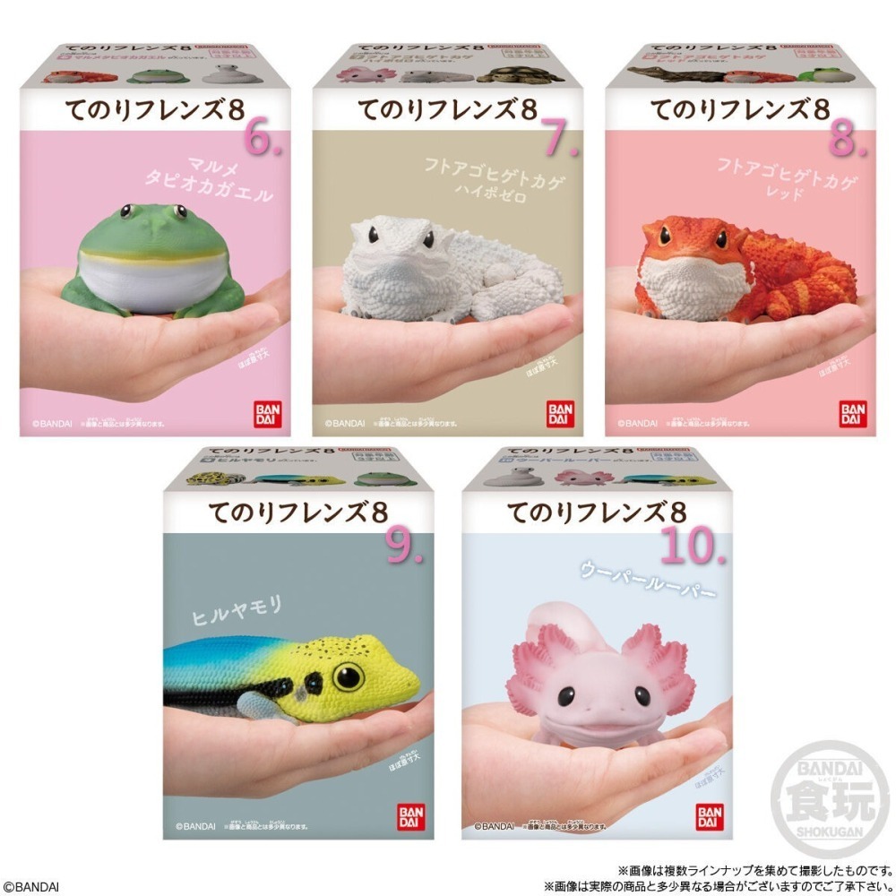 Bandai 掌上好朋友8 軟膠公仔 爬行動物&兩棲動物 【Smile】-細節圖3