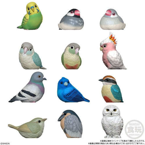 Bandai 掌上型 小鳥10 文鳥 鸚鵡 鳥 裝飾 擺飾 ~ 單售