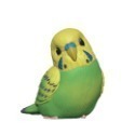 Bandai 掌上型 小鳥10 文鳥 鸚鵡 鳥 裝飾 擺飾 ~ 單售-規格圖10