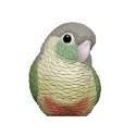 5．綠頰錐尾鸚鵡-綠