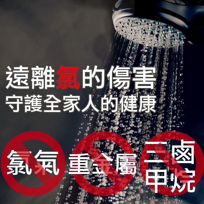 SMS日月光淨水高效能除氯沐浴器淨水器(內含濾心) SGS認證 台灣製造 採用美日食品級濾材 過濾器-細節圖4