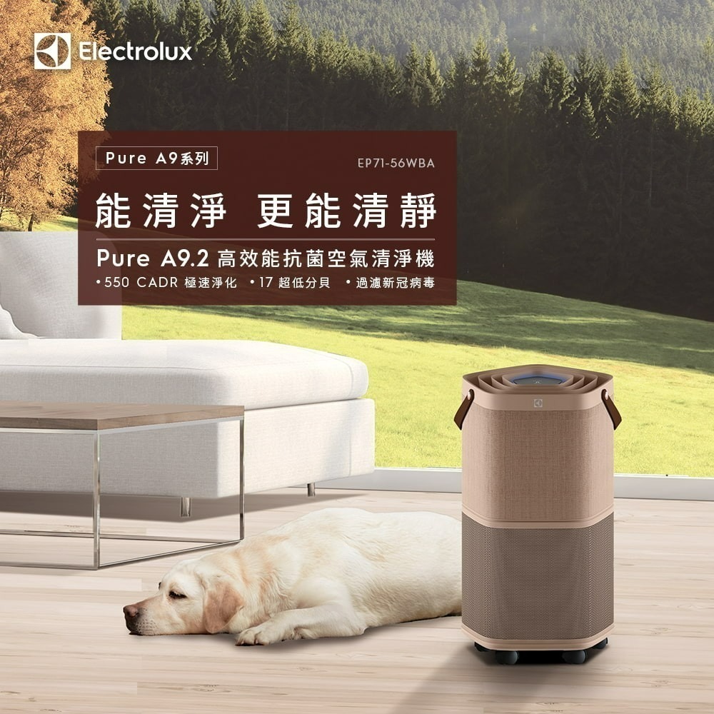 Electrolux 伊萊克斯 EP71-56WBA 空氣清淨機 Pure A9.2 高效能抗菌 適用22坪-細節圖2