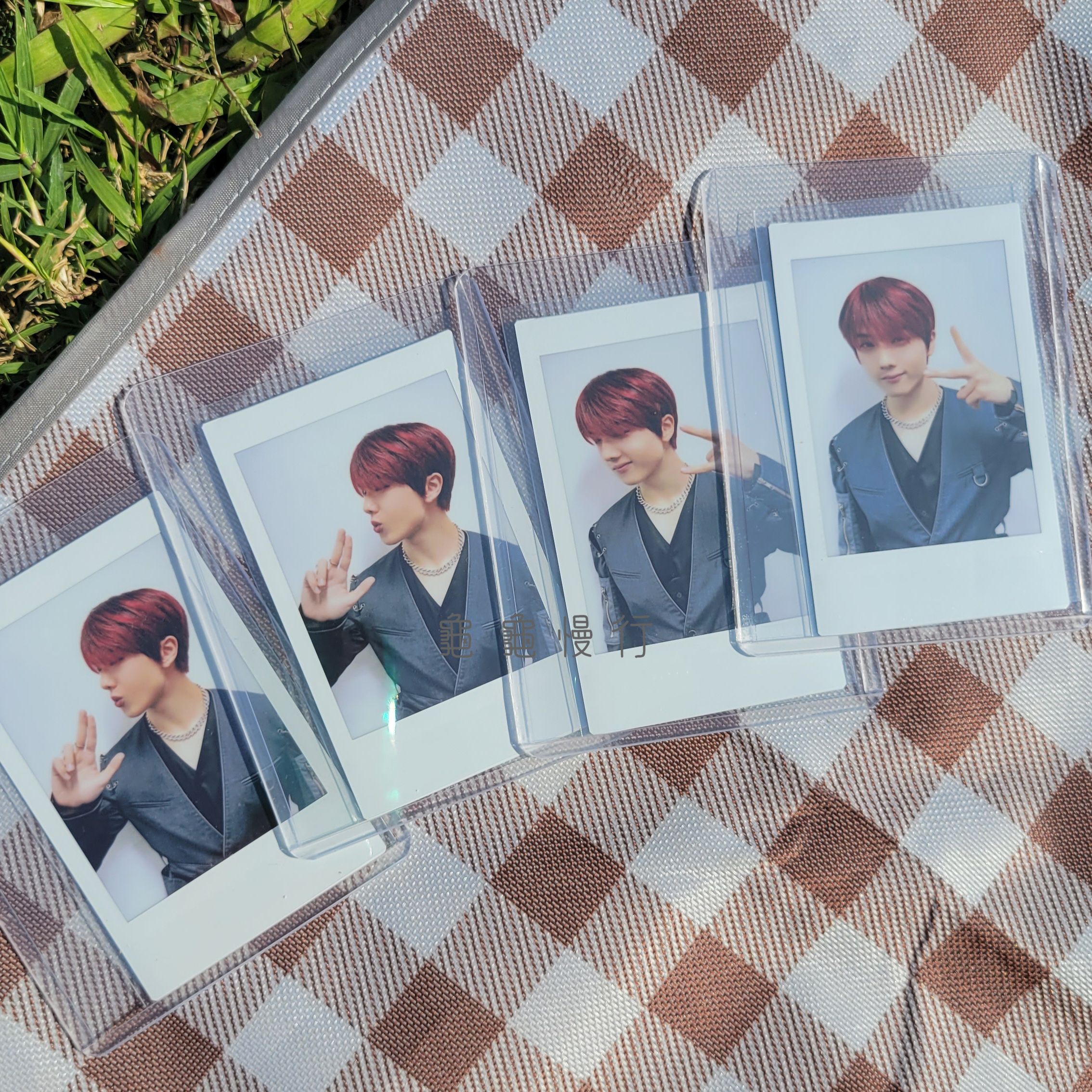 🐢NCT Dream ’The Dream Show 2’ 日本場演唱會周邊 -隨機拍立得🐢-細節圖3