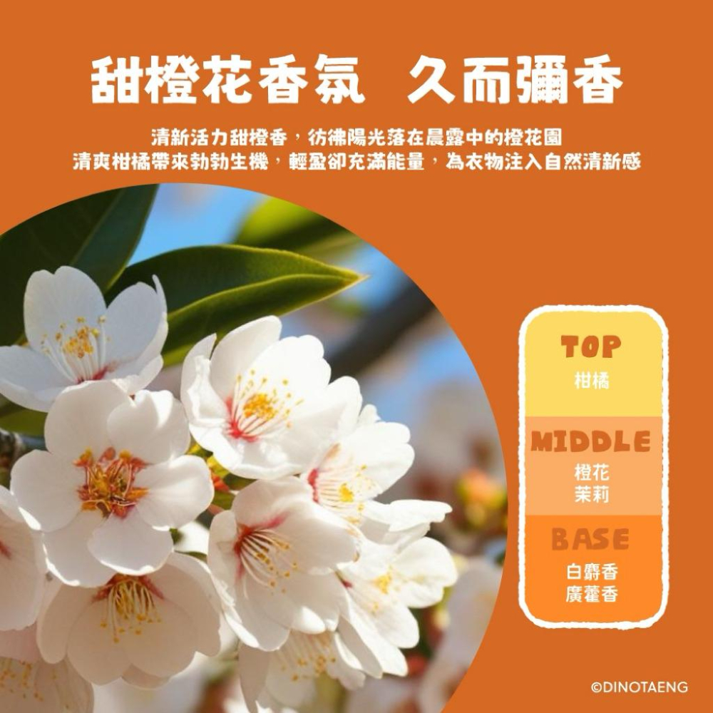 ［現貨］台灣出貨 正版授權 DINOTAENG 甜橙花香氛洗衣精1800ml 香氛洗衣精 大容量洗衣精 甜橙味洗衣精-細節圖4