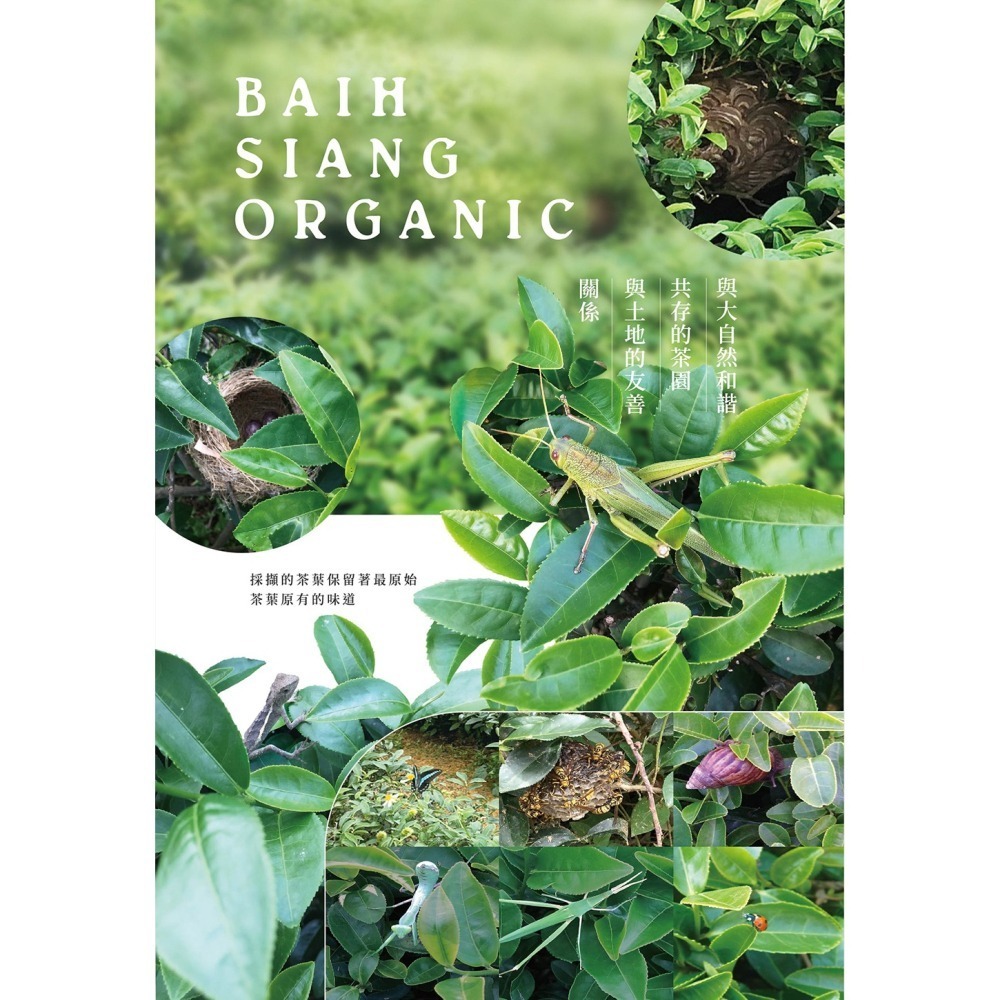 【百香】冬片 清香烏龍茶 茶葉150g 買2罐送1罐 100%台灣茶 南投好茶-細節圖2