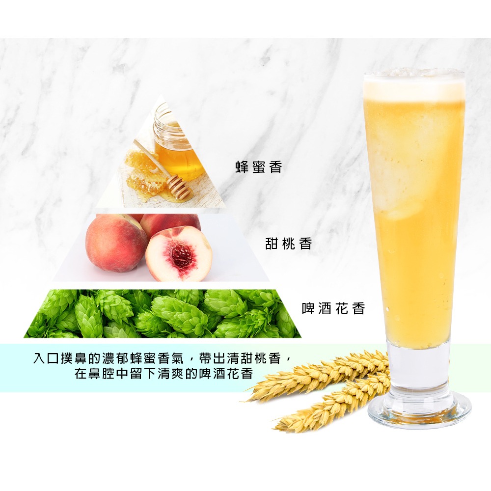 【澄韻堂】芳第/伂橙/琉璃茶包, 金麥蜂釀香綠茶包(三角-無吊牌)(7.5g*40入/袋/300克)-細節圖4