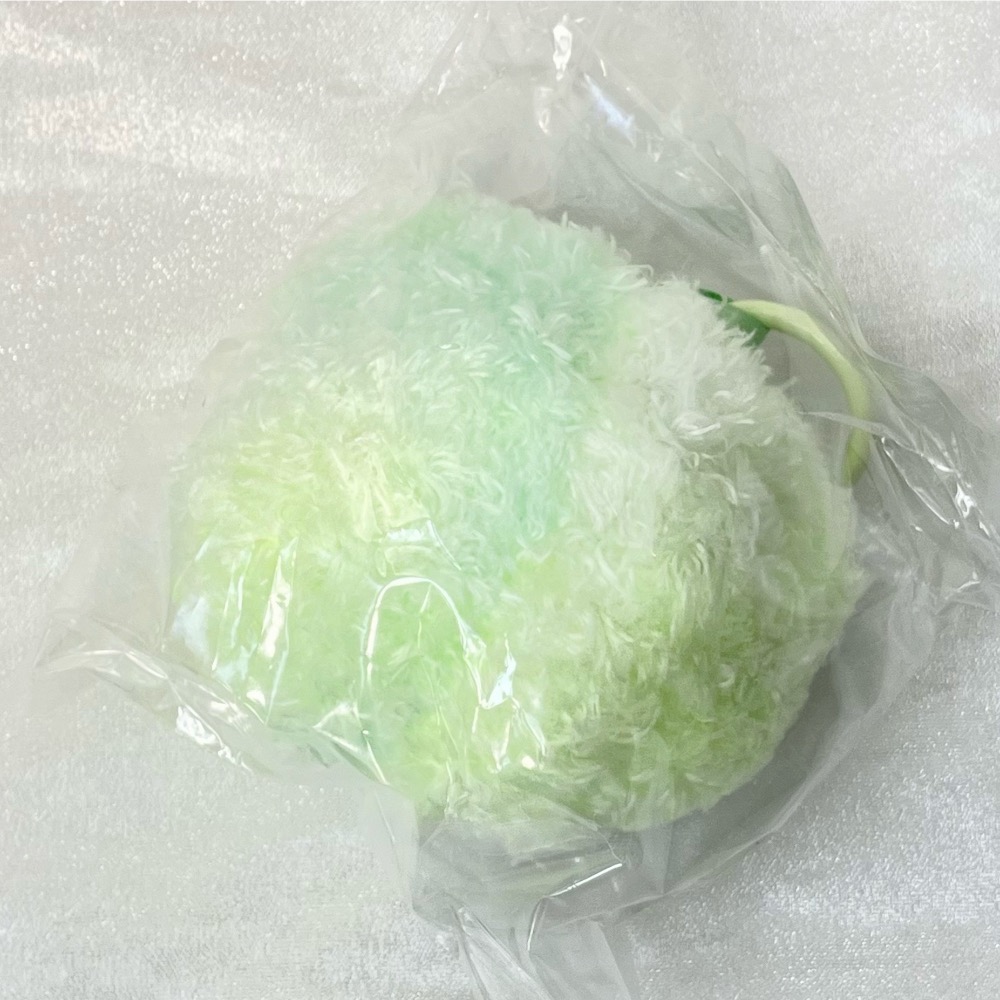 台現🇹🇼 Yooki 氧氧 四代毛绒 一口小熊 薄荷小熊頭 確認款 盲盒-細節圖3