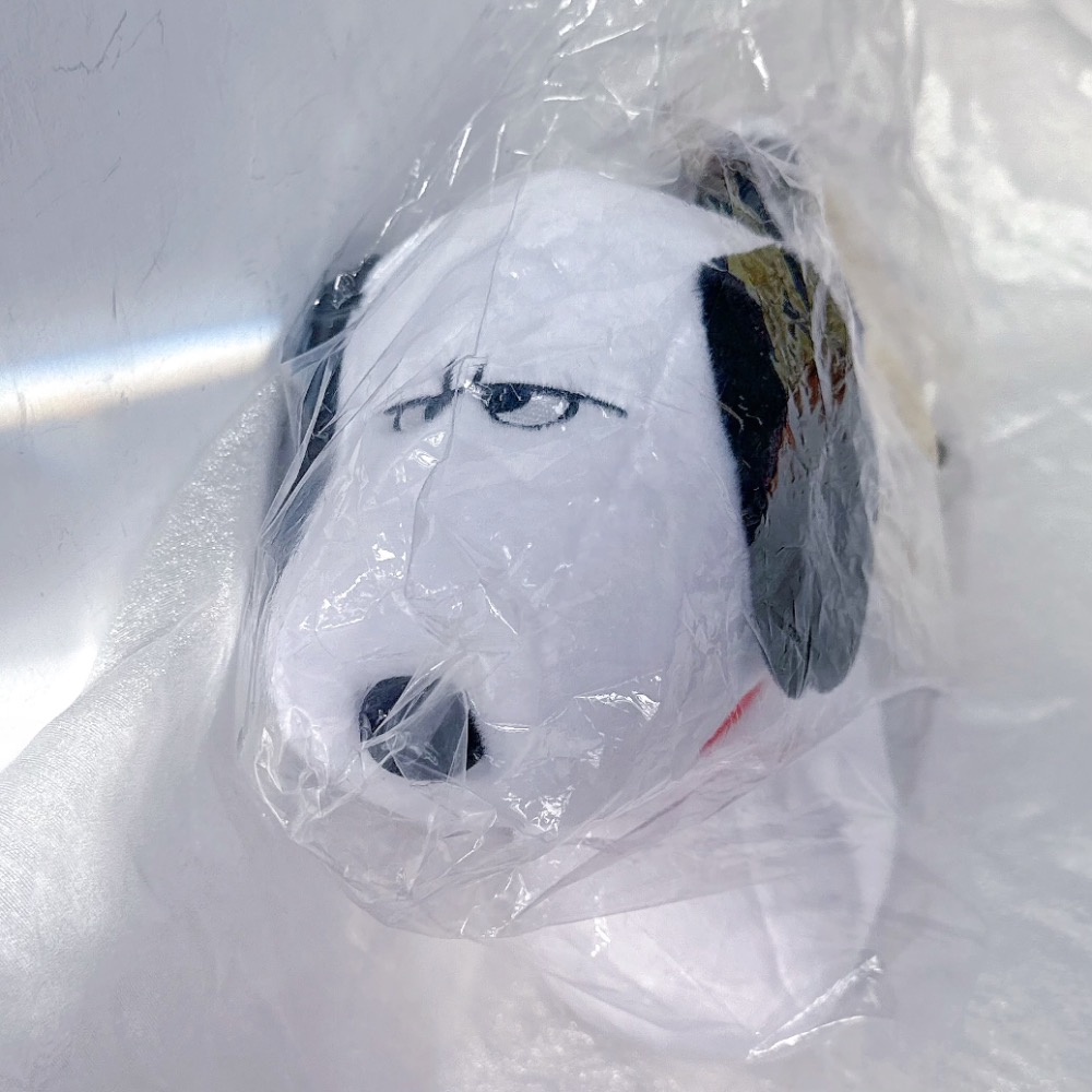 全新🇹🇼 嘶努比 台灣限定 蛇年 史努比 玩偶 snoopy-細節圖2