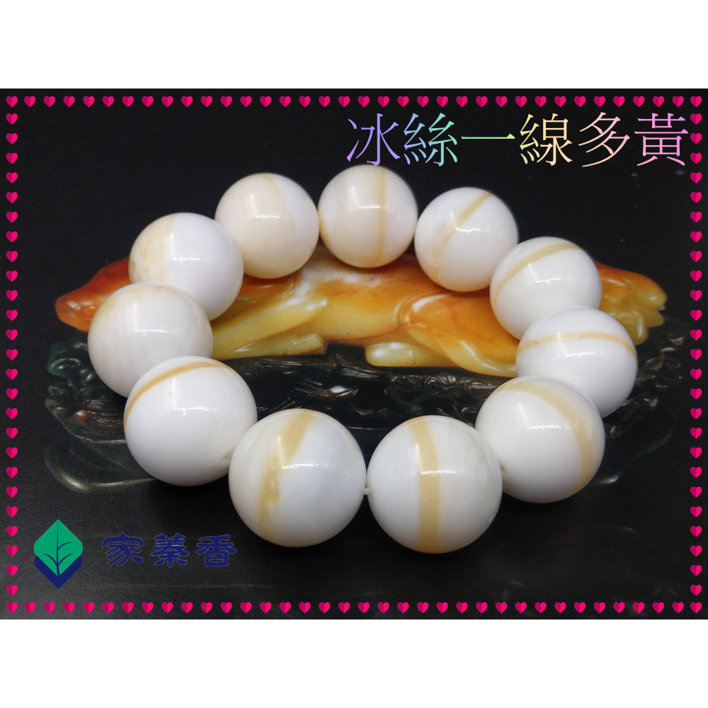 【家蓁香】特A級精品 海南黃岩島天然玉化『冰絲料一線多黃』硨磲20mm*11顆貝殼佛珠男女款手鏈(TR-52-9)-細節圖2