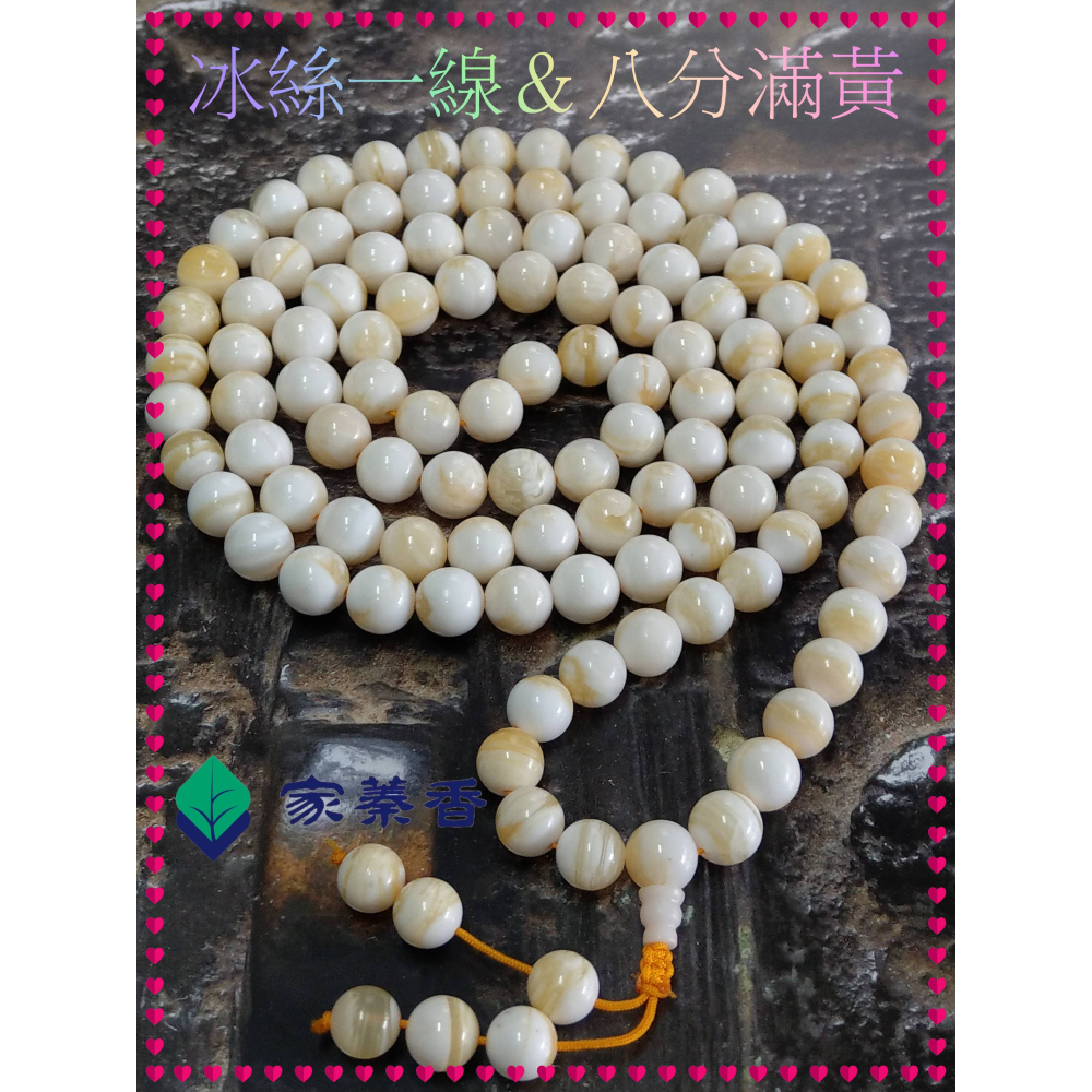 【家蓁香】絕版重磅孤品 精美絕倫 海南黃岩島天然玉化『冰絲一線＆八分滿黃』硨磲12mm*108顆佛珠(TR-97-C)-細節圖2