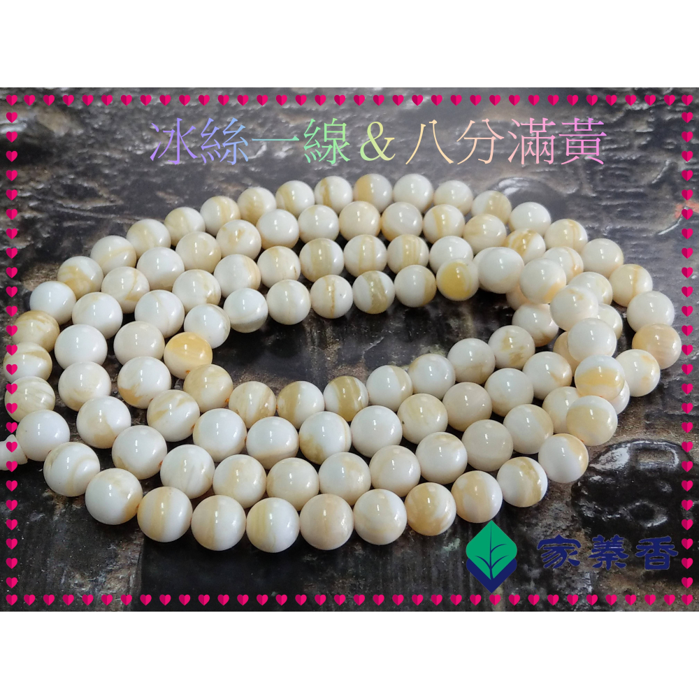 【家蓁香】絕版重磅孤品 精美絕倫 海南黃岩島天然玉化『冰絲一線＆八分滿黃』硨磲12mm*108顆佛珠(TR-97-C)-細節圖4