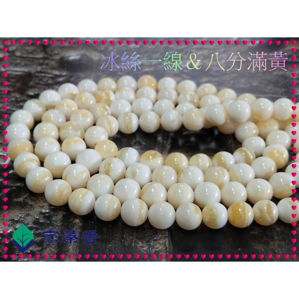 【家蓁香】絕版重磅孤品 精美絕倫 海南黃岩島天然玉化『冰絲一線＆八分滿黃』硨磲12mm*108顆佛珠(TR-97-C)-細節圖6