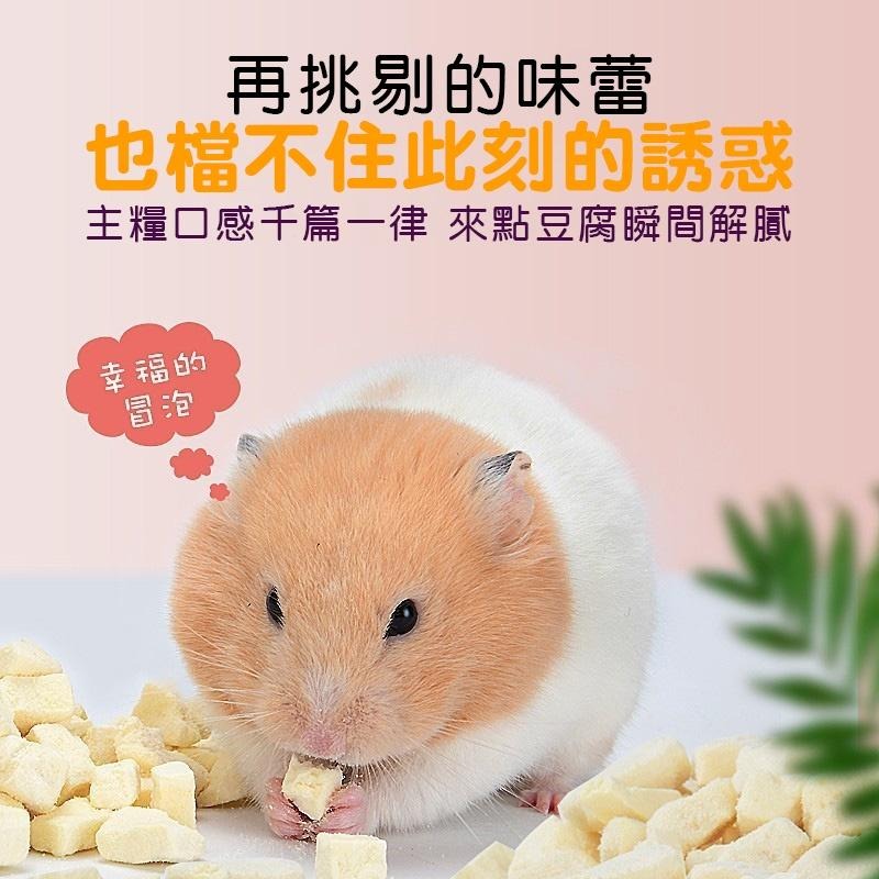 天然小寵奶酪豆腐乾 30g / 15g 倉鼠凍乾豆腐 倉鼠 豆腐乾高優質蛋白質 蜜袋鼯/天竺鼠/松鼠/黃金鼠 典贊創意-細節圖9