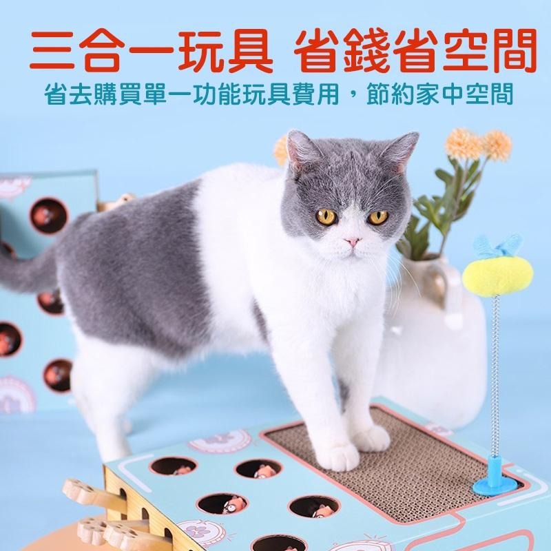多功能打地鼠貓抓板 貓咪玩具 磨爪 貓抓板 逗貓玩具 益智玩具 逗貓棒 貓玩具 貓用品 寵物用品 典贊創意 24H出貨-細節圖5
