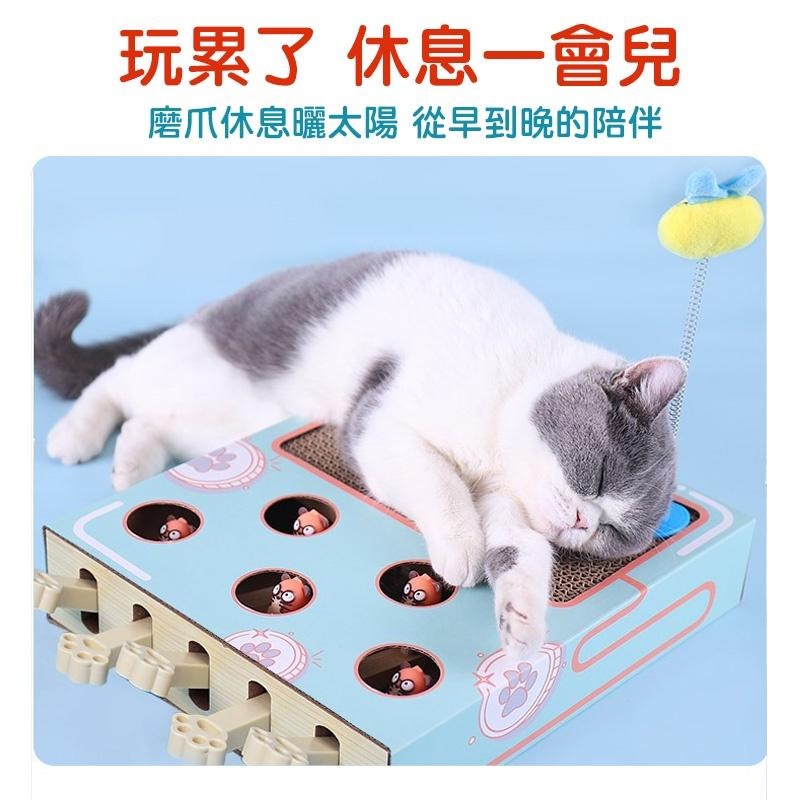 多功能打地鼠貓抓板 貓咪玩具 磨爪 貓抓板 逗貓玩具 益智玩具 逗貓棒 貓玩具 貓用品 寵物用品 典贊創意 24H出貨-細節圖8