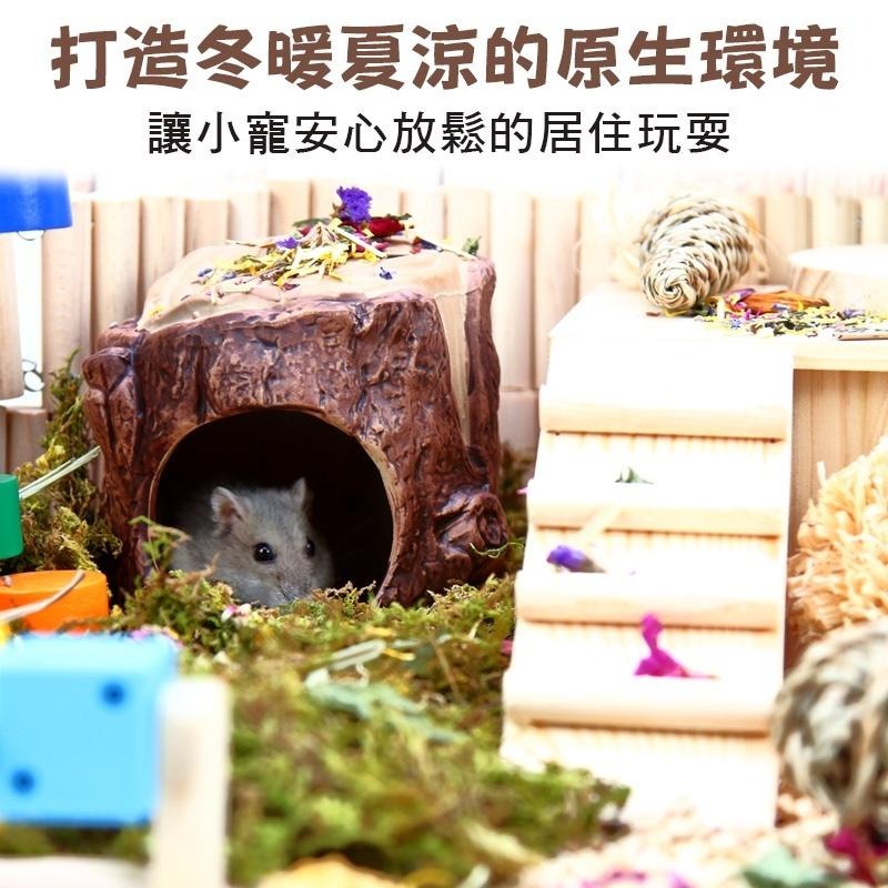 小寵樹洞納涼陶瓷窩 24H出貨 倉鼠陶瓷窩 樹窩 小寵造景擺飾 倉鼠涼窩 倉鼠用品 蜥蜴黃金鼠 造型窩 典贊創意-細節圖3