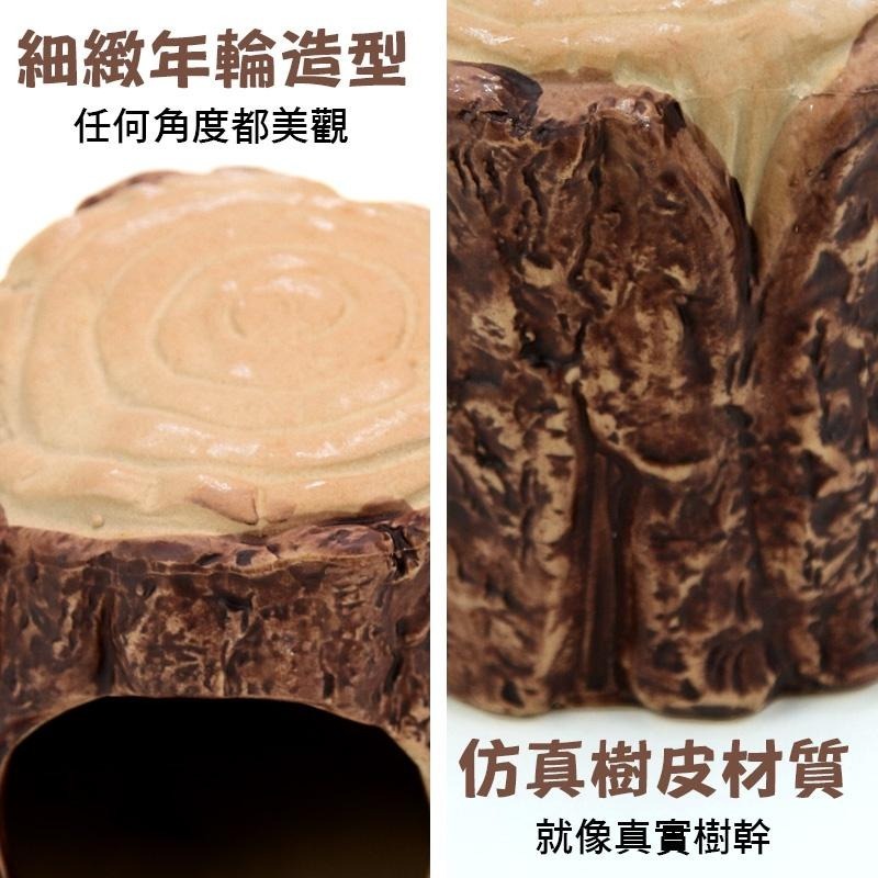 小寵樹洞納涼陶瓷窩 24H出貨 倉鼠陶瓷窩 樹窩 小寵造景擺飾 倉鼠涼窩 倉鼠用品 蜥蜴黃金鼠 造型窩 典贊創意-細節圖4