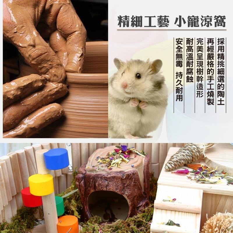 小寵樹洞納涼陶瓷窩 24H出貨 倉鼠陶瓷窩 樹窩 小寵造景擺飾 倉鼠涼窩 倉鼠用品 蜥蜴黃金鼠 造型窩 典贊創意-細節圖5