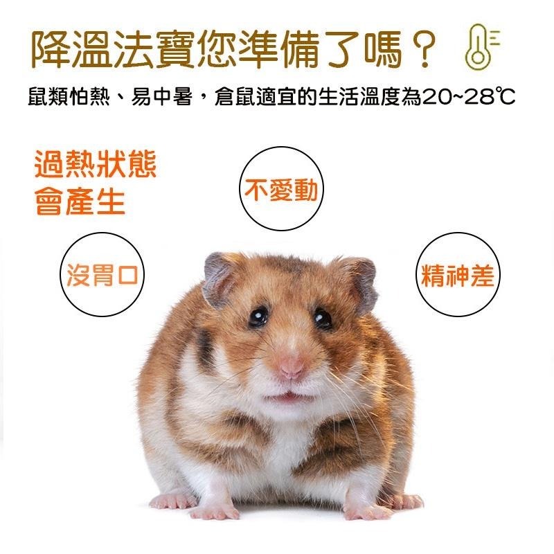 小寵樹洞納涼陶瓷窩 24H出貨 倉鼠陶瓷窩 樹窩 小寵造景擺飾 倉鼠涼窩 倉鼠用品 蜥蜴黃金鼠 造型窩 典贊創意-細節圖6