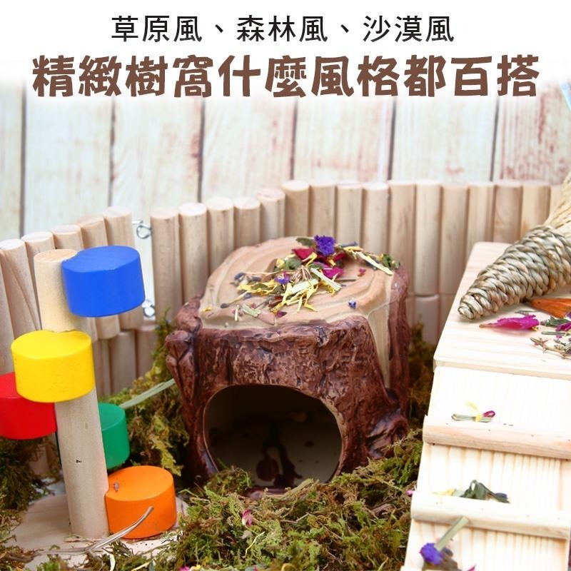 小寵樹洞納涼陶瓷窩 24H出貨 倉鼠陶瓷窩 樹窩 小寵造景擺飾 倉鼠涼窩 倉鼠用品 蜥蜴黃金鼠 造型窩 典贊創意-細節圖8