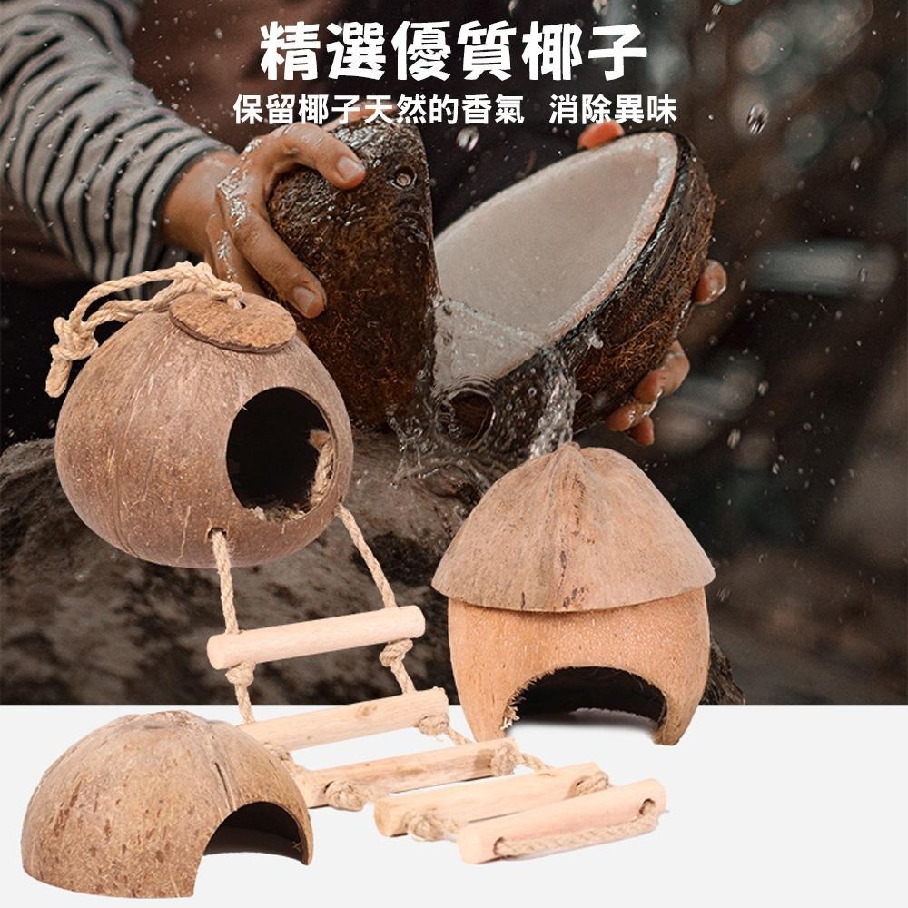 小寵天然椰殼窩 倉鼠椰子殼窩 爬蟲窩 鳥窩 躲避屋 倉鼠爬梯小窩 冬暖夏涼 造景用品 倉鼠用品 蜥蜴窩 典贊創意-細節圖3