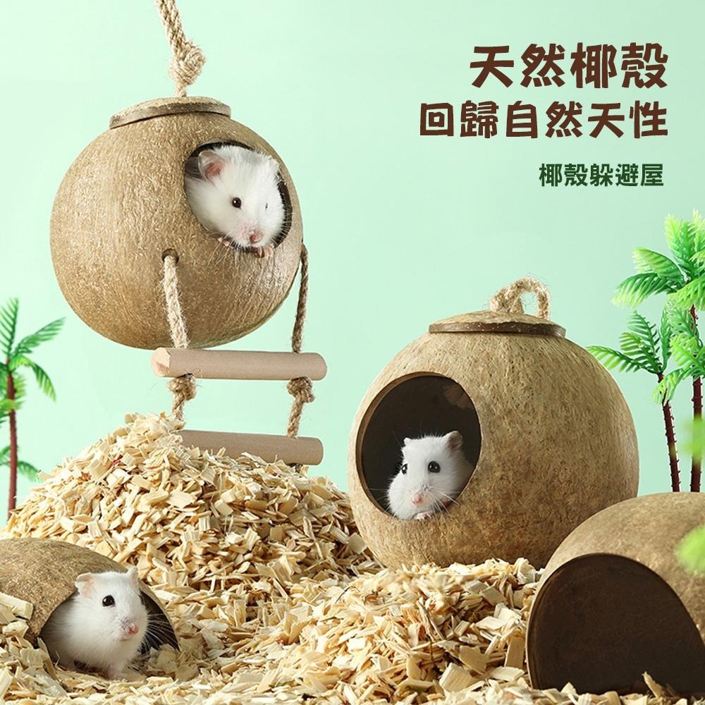 小寵天然椰殼窩 倉鼠椰子殼窩 爬蟲窩 鳥窩 躲避屋 倉鼠爬梯小窩 冬暖夏涼 造景用品 倉鼠用品 蜥蜴窩 典贊創意-細節圖4