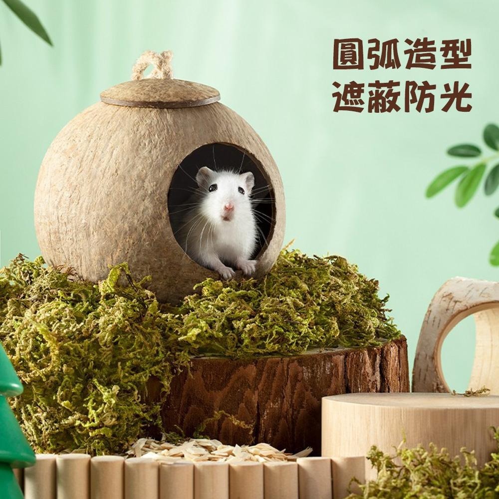 小寵天然椰殼窩 倉鼠椰子殼窩 爬蟲窩 鳥窩 躲避屋 倉鼠爬梯小窩 冬暖夏涼 造景用品 倉鼠用品 蜥蜴窩 典贊創意-細節圖5