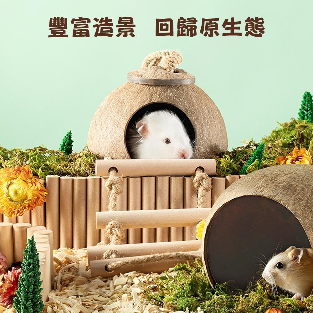 小寵天然椰殼窩 倉鼠椰子殼窩 爬蟲窩 鳥窩 躲避屋 倉鼠爬梯小窩 冬暖夏涼 造景用品 倉鼠用品 蜥蜴窩 典贊創意-細節圖6