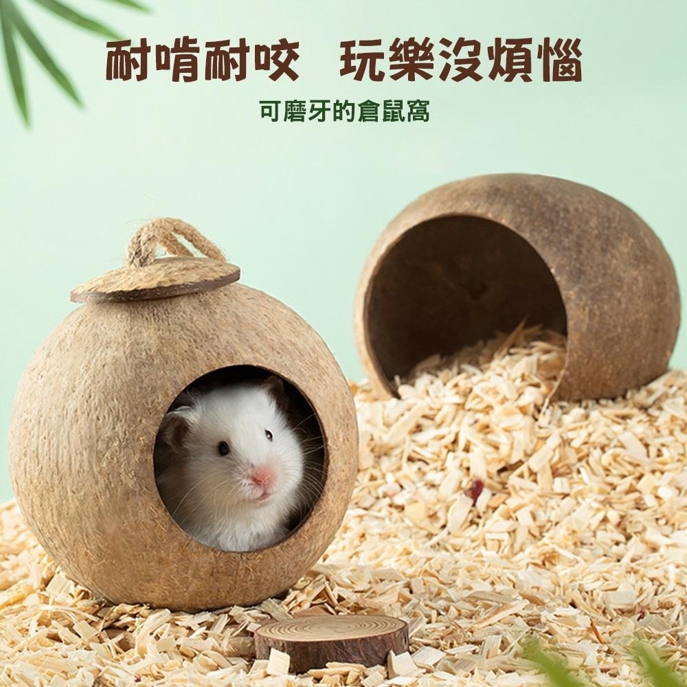 小寵天然椰殼窩 倉鼠椰子殼窩 爬蟲窩 鳥窩 躲避屋 倉鼠爬梯小窩 冬暖夏涼 造景用品 倉鼠用品 蜥蜴窩 典贊創意-細節圖7