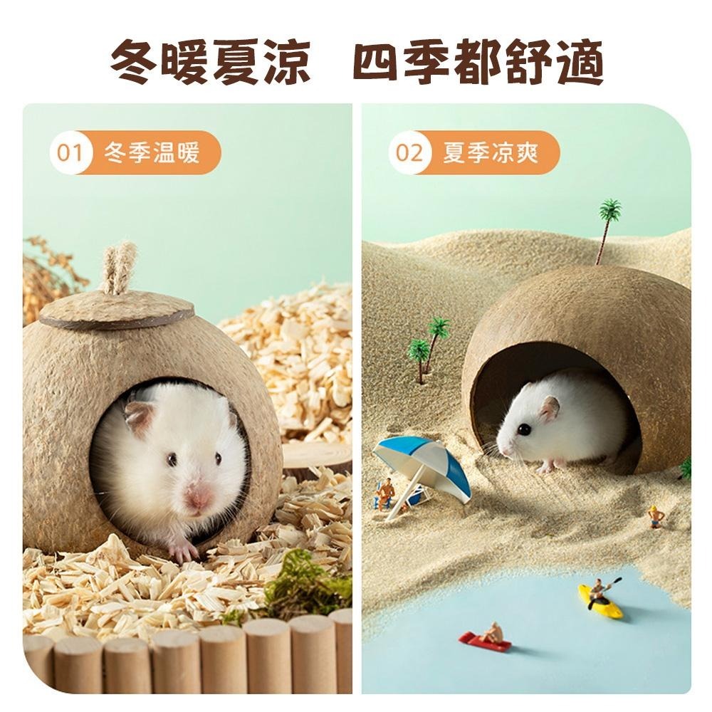 小寵天然椰殼窩 倉鼠椰子殼窩 爬蟲窩 鳥窩 躲避屋 倉鼠爬梯小窩 冬暖夏涼 造景用品 倉鼠用品 蜥蜴窩 典贊創意-細節圖8