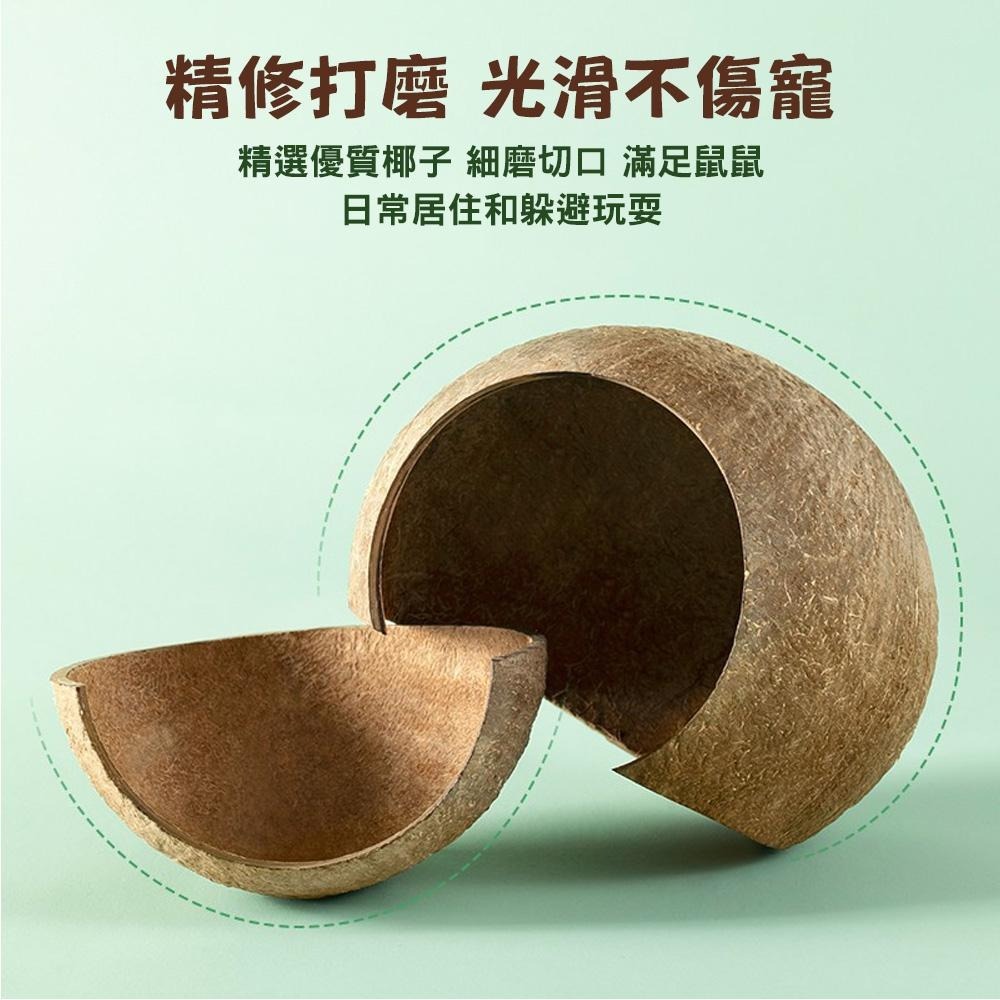 小寵天然椰殼窩 倉鼠椰子殼窩 爬蟲窩 鳥窩 躲避屋 倉鼠爬梯小窩 冬暖夏涼 造景用品 倉鼠用品 蜥蜴窩 典贊創意-細節圖9