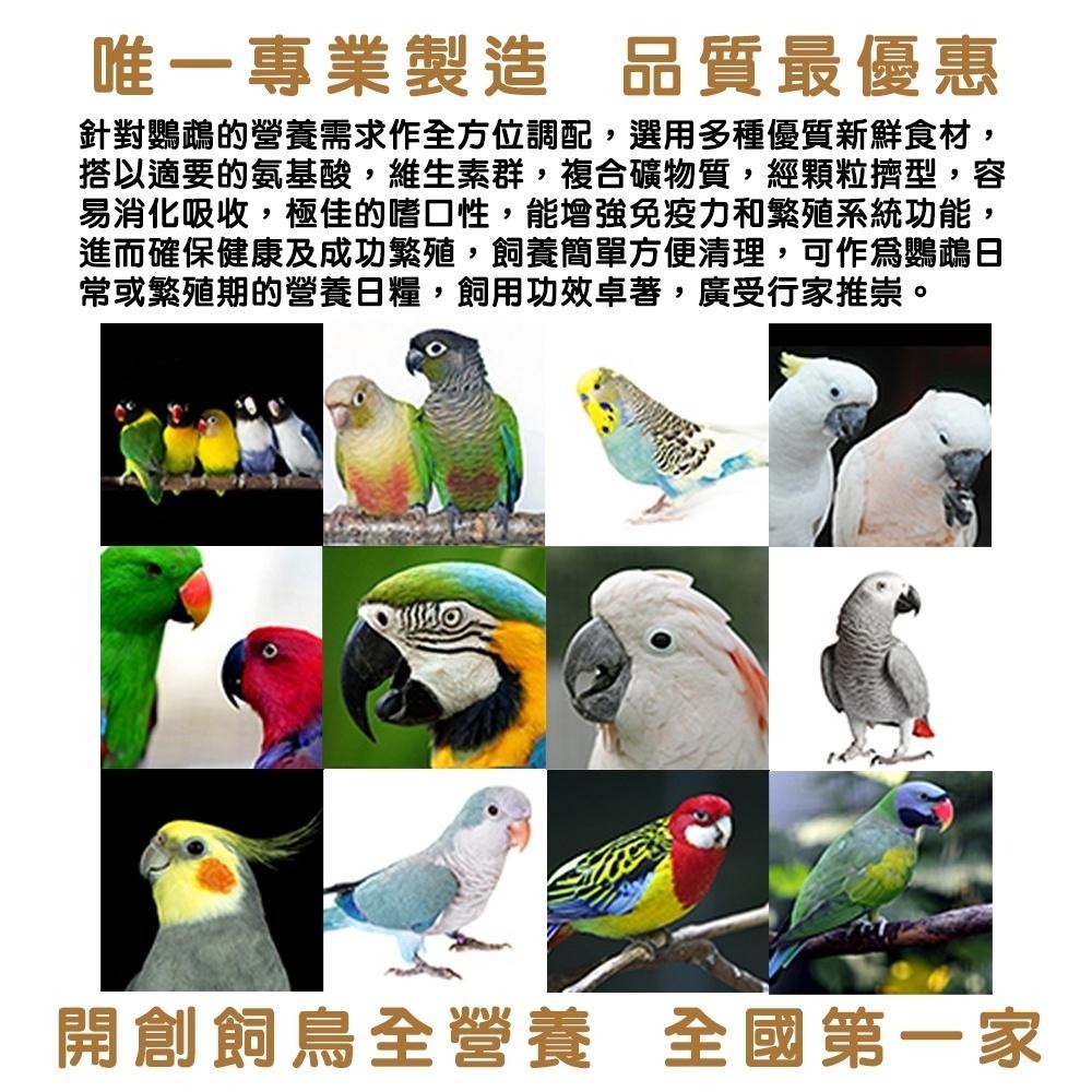 合美健鸚鵡全方位營養餐 No.35 1kg 輔助食品、幼鳥食品 合美健35 鳥飼料 鸚鵡飼料 典贊創意-細節圖3