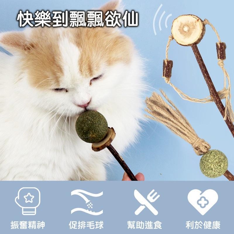 喵星人木天蓼貓薄荷玩具 24H出貨 天然植物貓咪棒棒糖 逗貓棒 貓玩具 貓草玩具 寵物用品 典贊創意-細節圖2