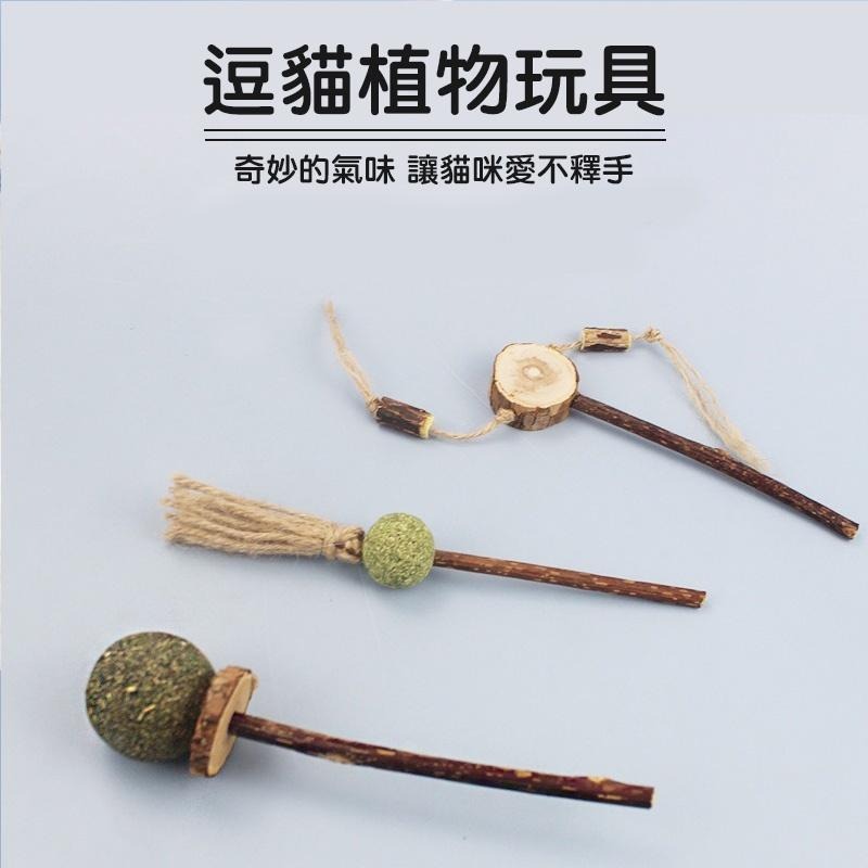 喵星人木天蓼貓薄荷玩具 24H出貨 天然植物貓咪棒棒糖 逗貓棒 貓玩具 貓草玩具 寵物用品 典贊創意-細節圖4