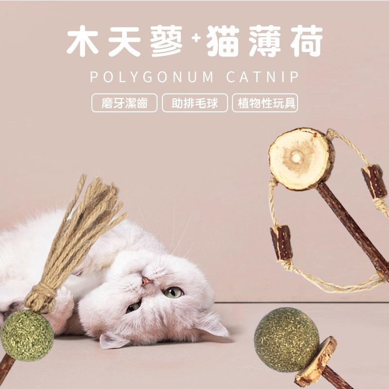 喵星人木天蓼貓薄荷玩具 24H出貨 天然植物貓咪棒棒糖 逗貓棒 貓玩具 貓草玩具 寵物用品 典贊創意-細節圖5