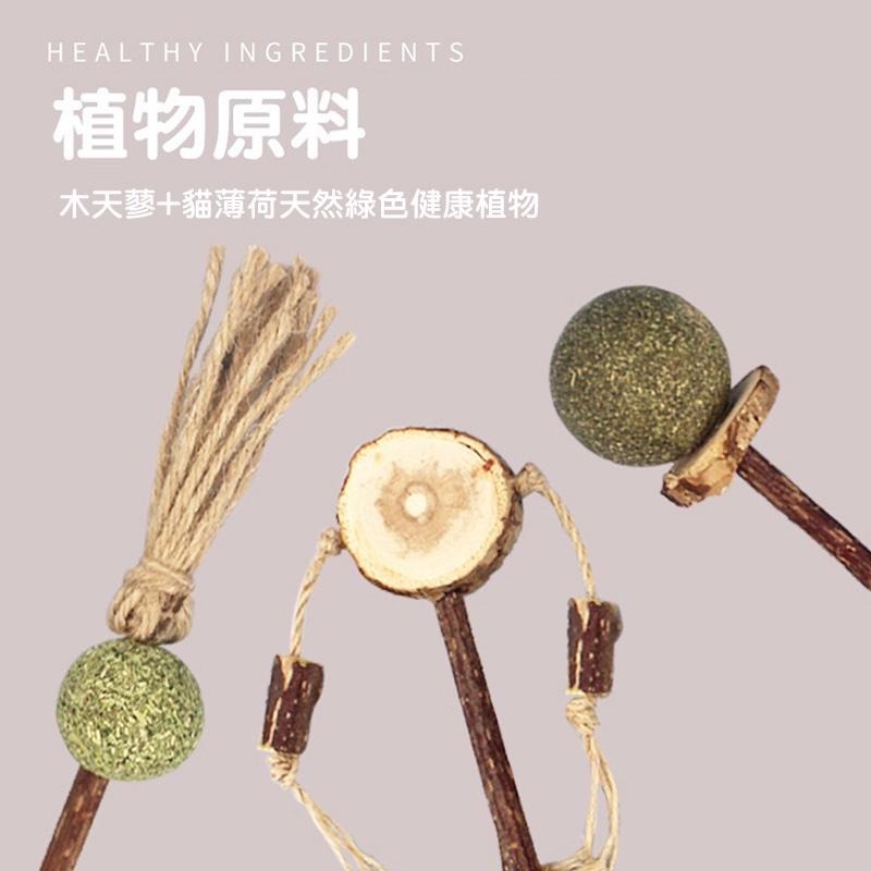 喵星人木天蓼貓薄荷玩具 24H出貨 天然植物貓咪棒棒糖 逗貓棒 貓玩具 貓草玩具 寵物用品 典贊創意-細節圖6