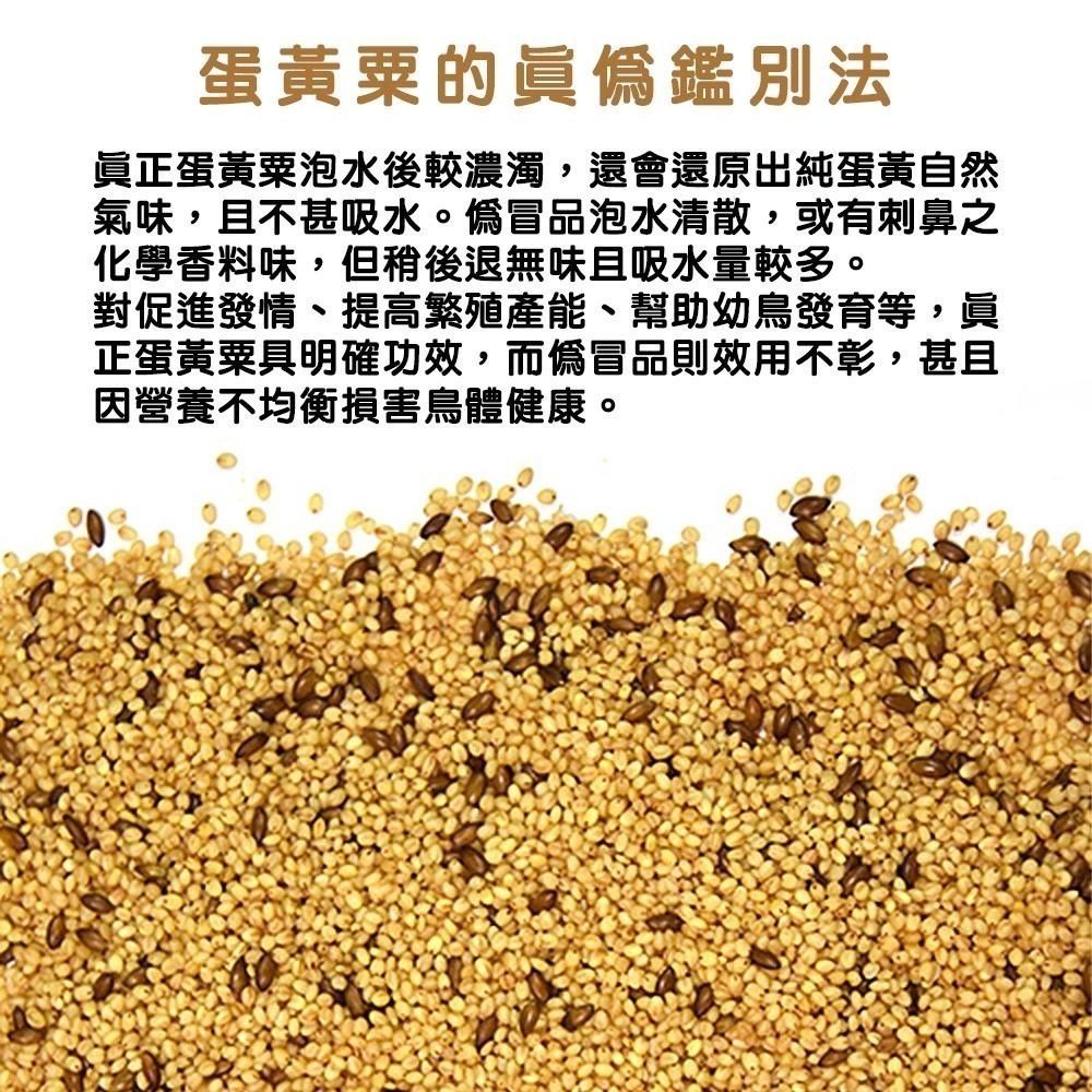 合美健蛋黃粟No.9 500g 6個蛋黃的營養 中小型鳥幼鳥雛鳥 繁殖發育換毛 合美健9 鳥飼料 鸚鵡飼料 典贊創意-細節圖5