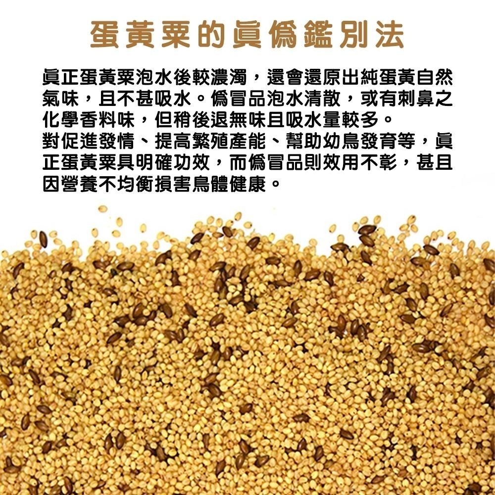 合美健蛋黃粟No.9 500g 6個蛋黃的營養 中小型鳥幼鳥雛鳥 繁殖發育換毛 合美健9 鳥飼料 鸚鵡飼料 典贊創意-細節圖5