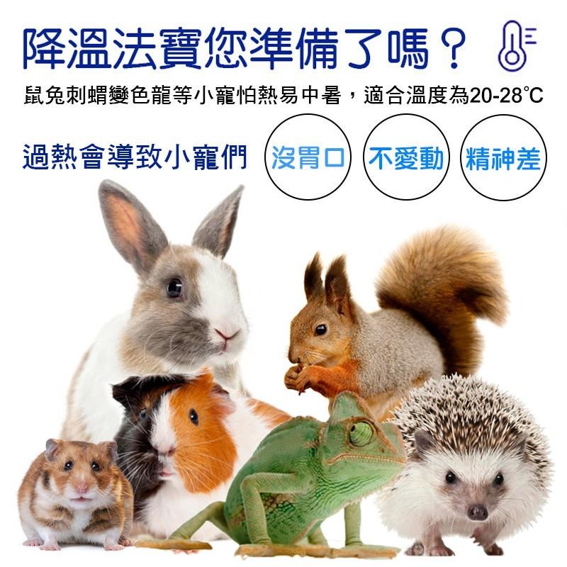 加大理石激涼散熱墊 涼墊 散熱板 降溫板刺蝟 蜜袋鼯 天竺鼠 兔子 龍貓 松鼠 變色龍 寵物用品 鼠兔用品 典贊創意-細節圖3